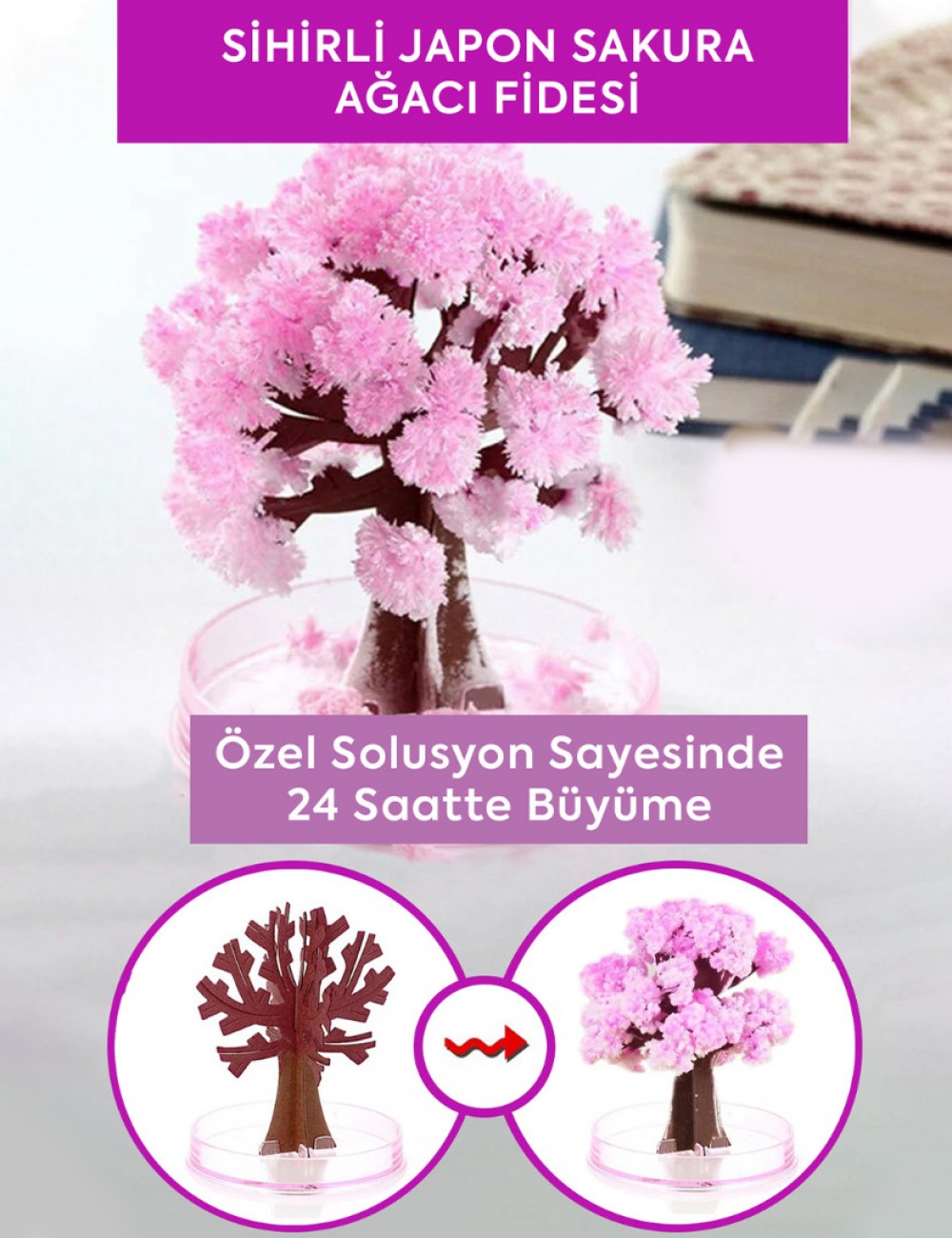 3lü SET - SİHİRLİ JAPON SAKURA AĞACI FİDESİ SETİ