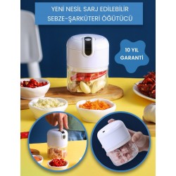 YENİ NESİL ŞARJ EDİLEBİLİR SEBZE-ŞARKÜTERİ ÖĞÜTÜCÜ